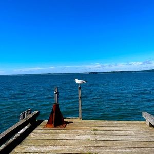 Meet your Posher, Chilly P